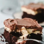 Mississippi Mud Cake