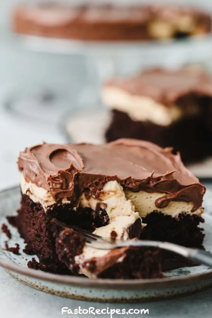 Mississippi Mud Cake